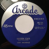 Joey Micheals - Sixteen Cats
