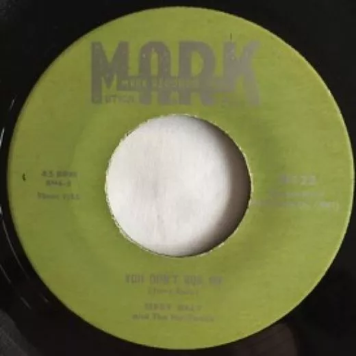 Terry Daly and The Nu-Tones - You Don't Bug Me