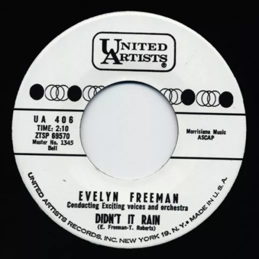 Evelyn Freeman - Didn't It Rain