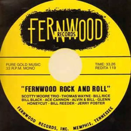 V/A - Fernwood Rock and Roll
