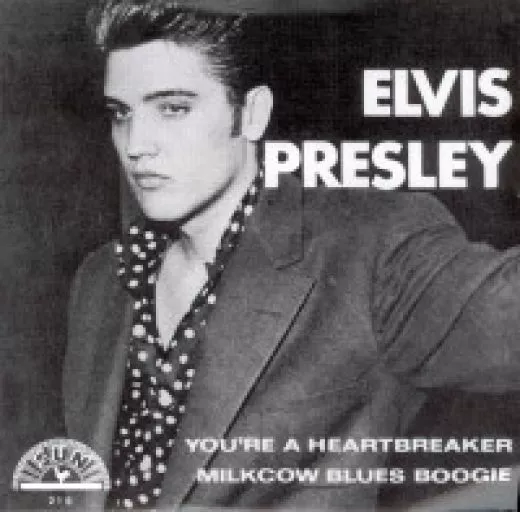 Elvis Presley - Milkcow Blues Boogie
