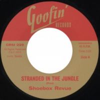 Shoebox Revue - Stranded In The Jungle
