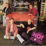 Firebirds, The - Too Hot To Handle