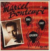 Marcel Bontempi - Big Fat Spider