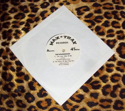 Wanderers, The - Same