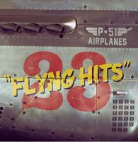 P-51 Airplanes - 23 Flying Hits