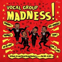 V/A - Vocal Group Madness!