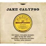 Jake Calypso - The Roots & The Fruits