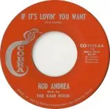 Rod Andrea & The Ram Rods - If It's Lovin' You Want