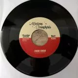 Western Stringbyrds - Am I To Be The One