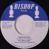Pat Wallace with The Rock 'n Ravens - Goin Cattin