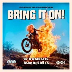 Domestic Bumblebees - Bring It On!