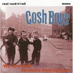 Cosh Boys - We Are Still Juvenile Delinquents