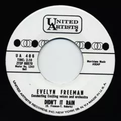 Evelyn Freeman - Didn't It Rain
