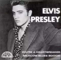 Elvis Presley - Milkcow Blues Boogie