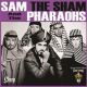 Sam The Sham and The Pharaohs - (Im In With) The Out Crowd