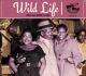 V/A - Wild Life