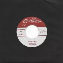 Twisted Rod - Rainy Days