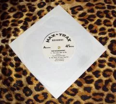 Wanderers, The - Same