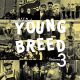 V/A - Young Breed Vol.3