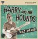 Harry and The Hounds - Wild For You