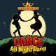 Firebirds - Dance All Night Long